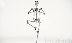 在X光下做瑜伽时看到的骨头